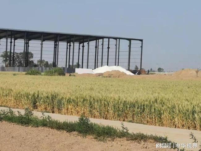 河北沧州：东光县于桥乡违法占地建厂房可谓是“劣迹斑斑”！