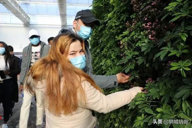 沧州留学生：我要把农业技术带回我的国家